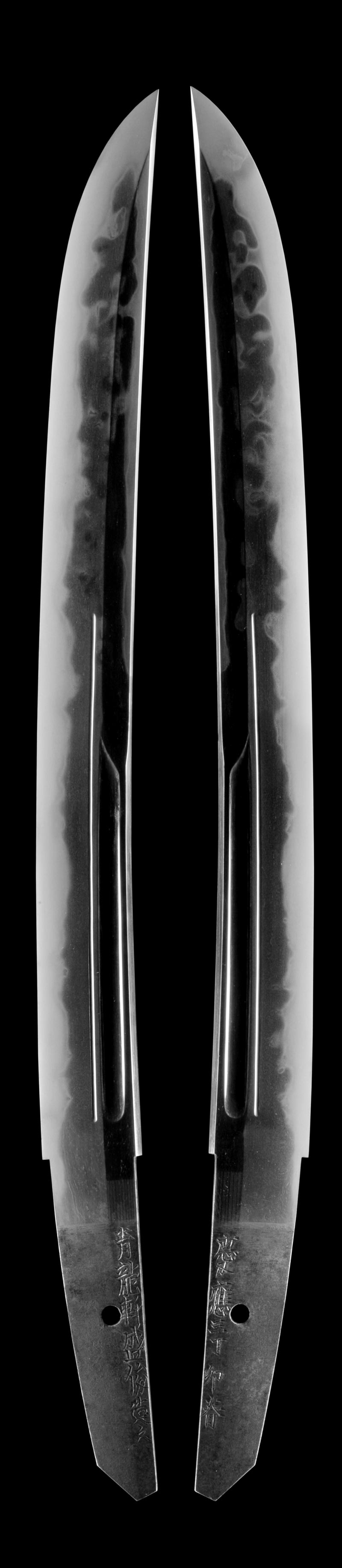 �������r���V